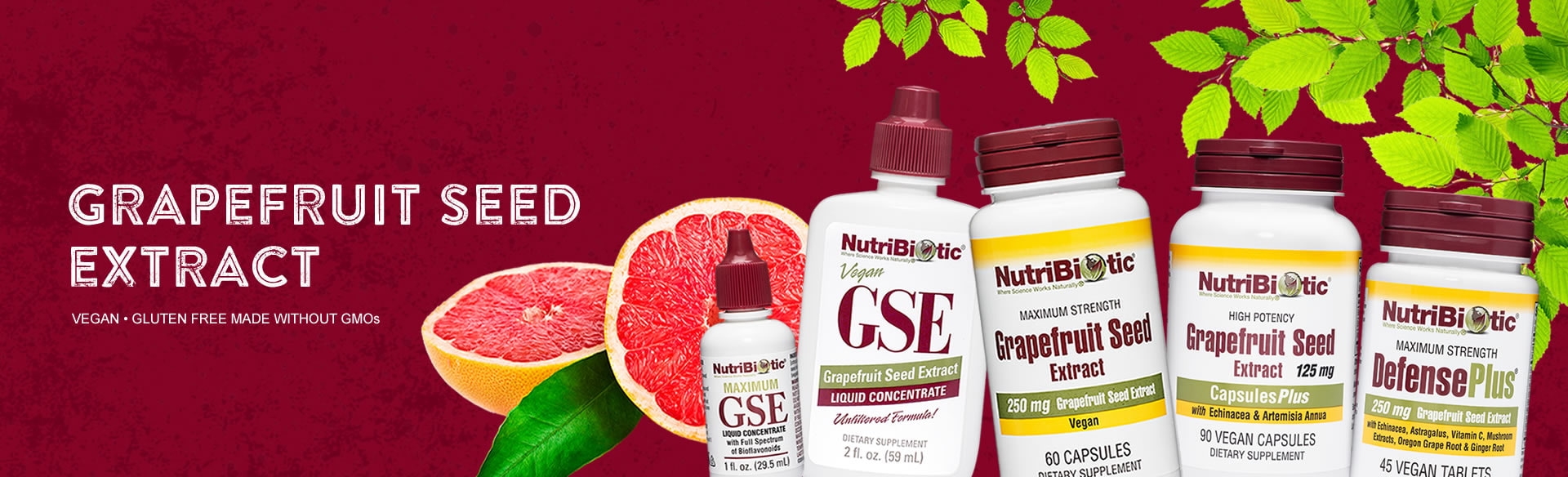 GSE Supplements