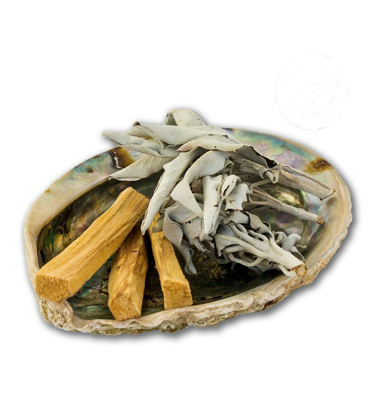 Energy Cleansing Palo Santo & Sage Leafs Cluster Abalone Set