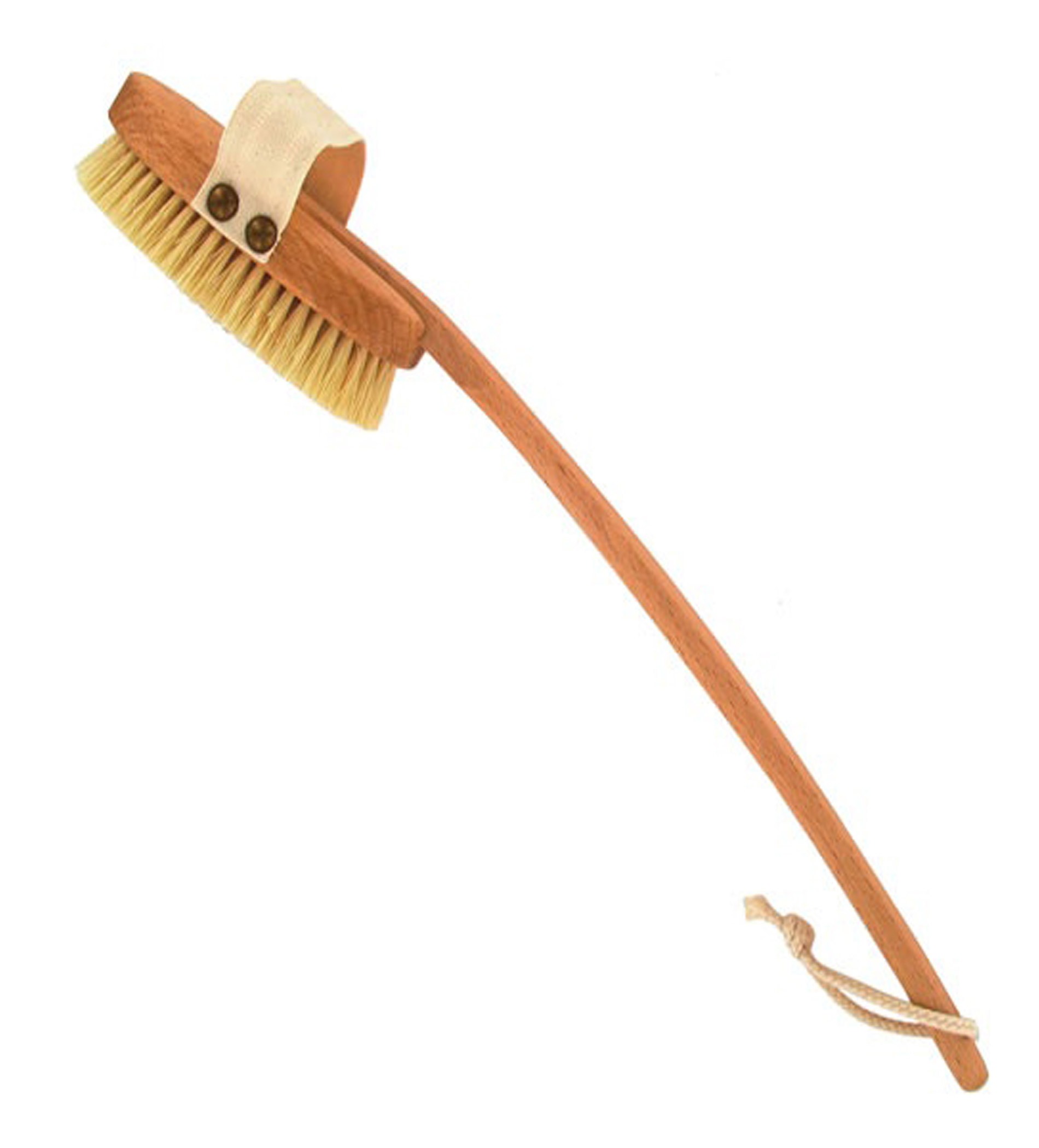 Forsters Curved Brush Detachable Handle Beech Wood & Natural Bristle