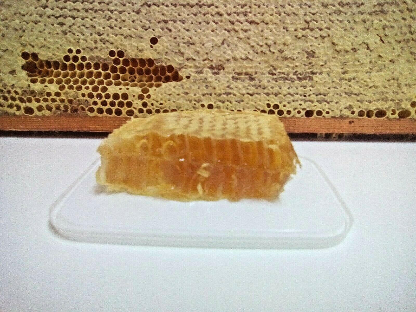 The Local Honey Man Honeycomb