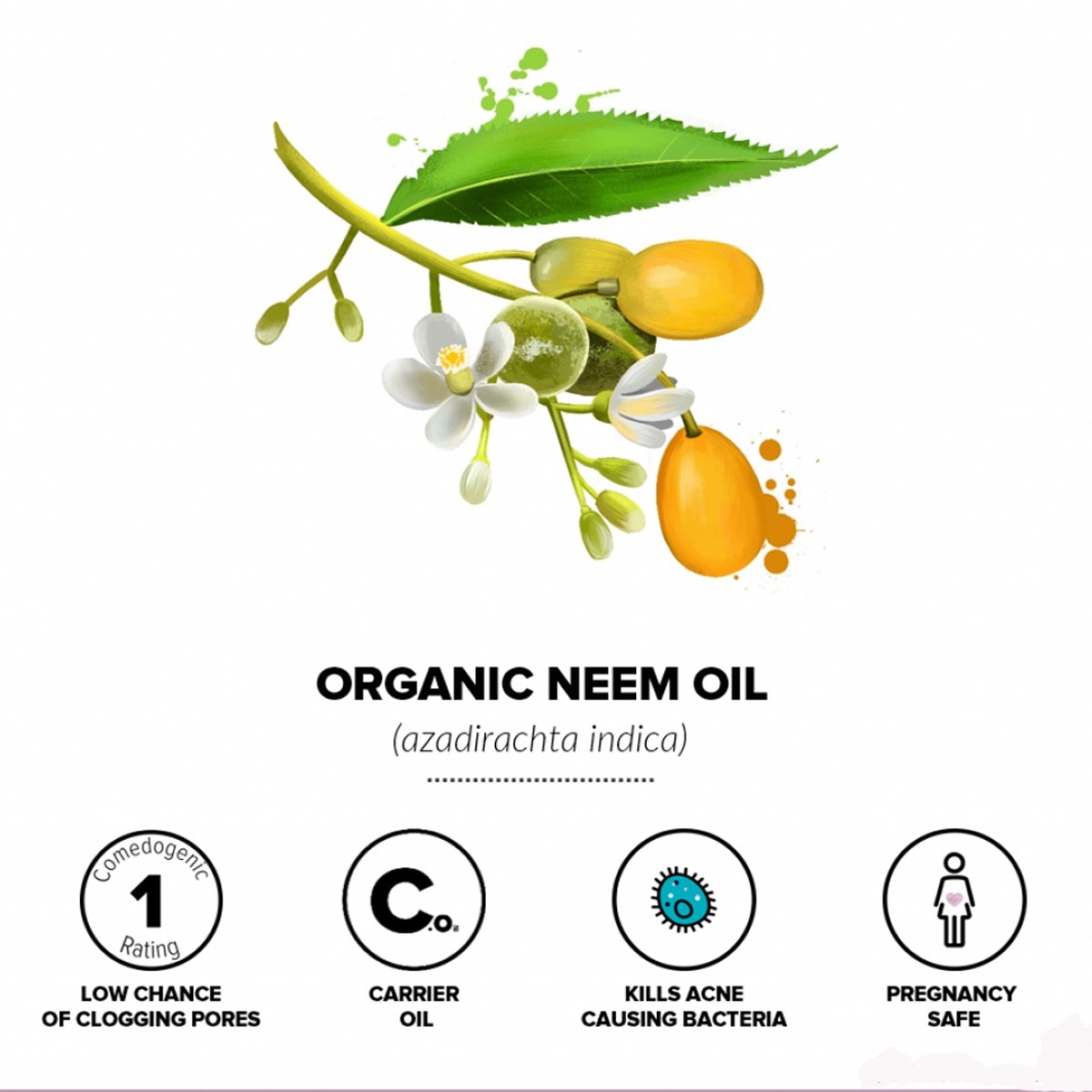 Neem Pure Virgin Oil Organic Certified Unrefined Cold Pressed 