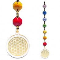Chakra Feng Shui Flower of Life Gold  Healing Charged