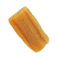 Forsters Organic Loofah