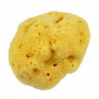 Forsters Natural Sea Sponge Silk Large