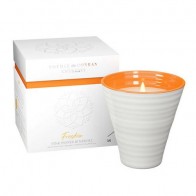 Sophie Conran Fragrance Ceramic Candle Freedom