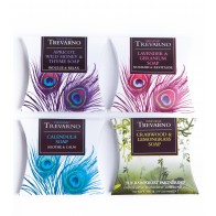 Organic Trevarno Miniature Selection Set