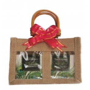 Trevarno Cleanse & Protect Soaps Gift Bag 