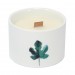Botanical Wooden Wick Soy Candle -Wild-Jasmine 