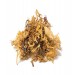 Irish Sea Moss Carrageen Chondus Chrispus Wild Harvested