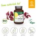 GSE Organic Omega 3 (Perilla Oil) 90 Capsules 